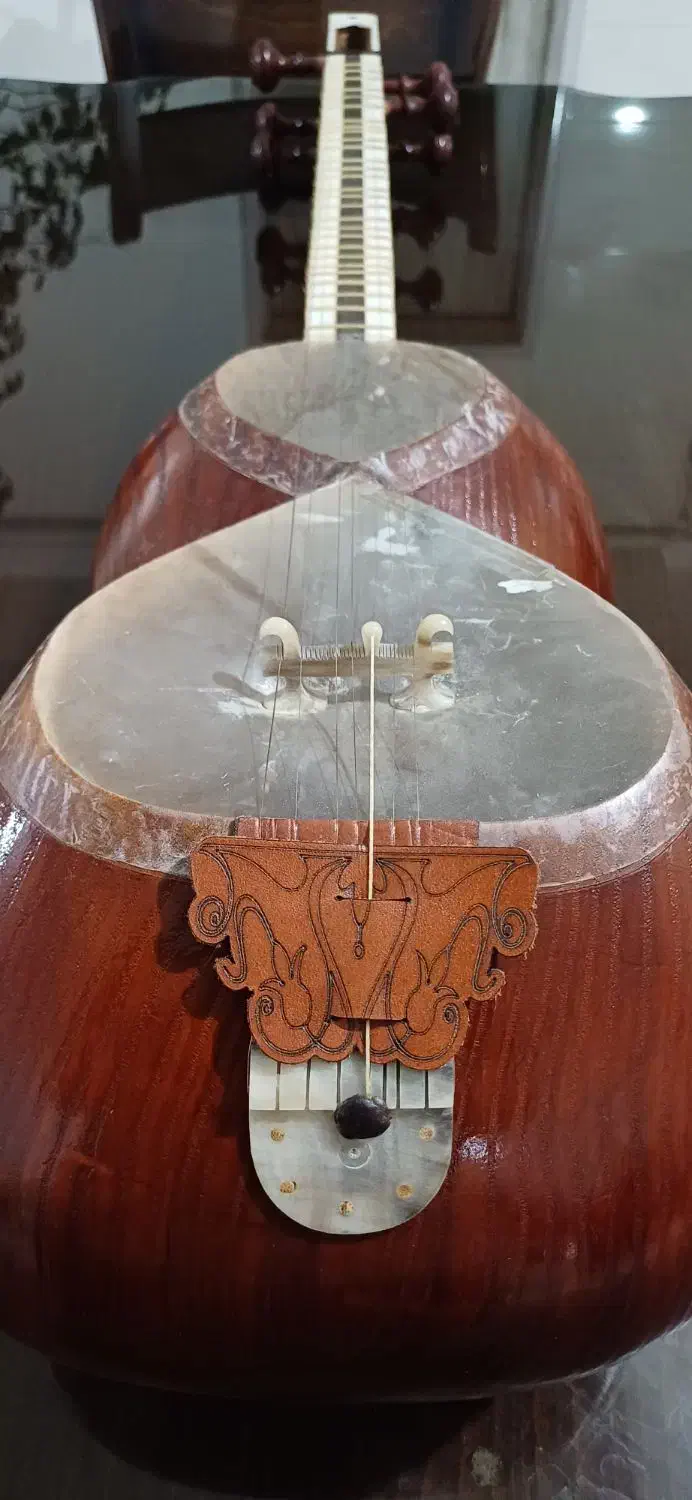 تار استاد عظیمی|سازهای سنتی|ابهر, |دیوار