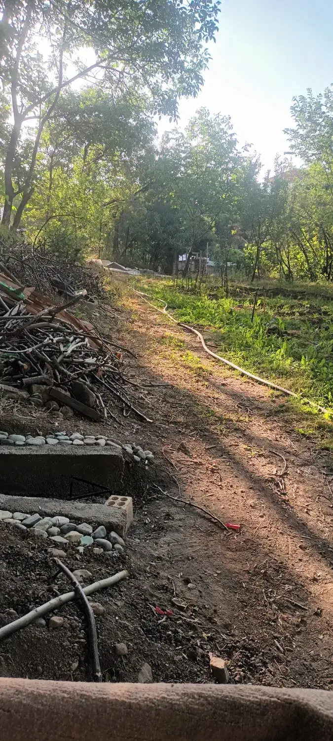 زمین طالقان|فروش زمین و ملک کلنگی|طالقان, |دیوار