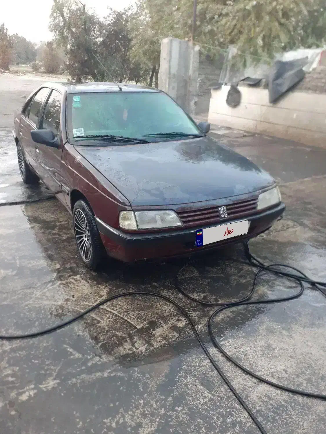 پژو ۴۰۵ بی رنگ|خودرو سواری و وانت|تهران, تختی|دیوار