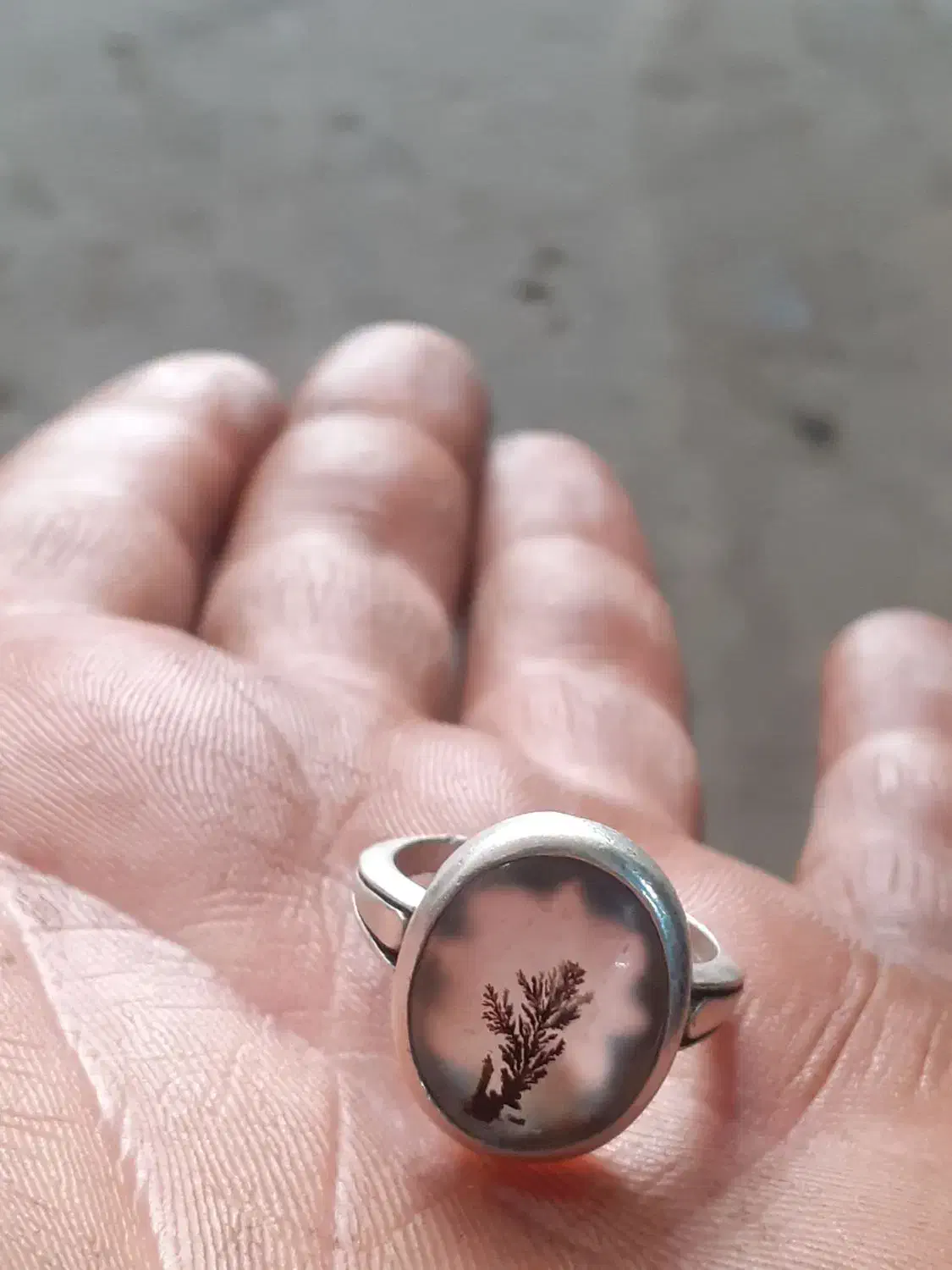 انگشترشجر|کلکسیون و سرگرمی|کرمانشاه, |دیوار