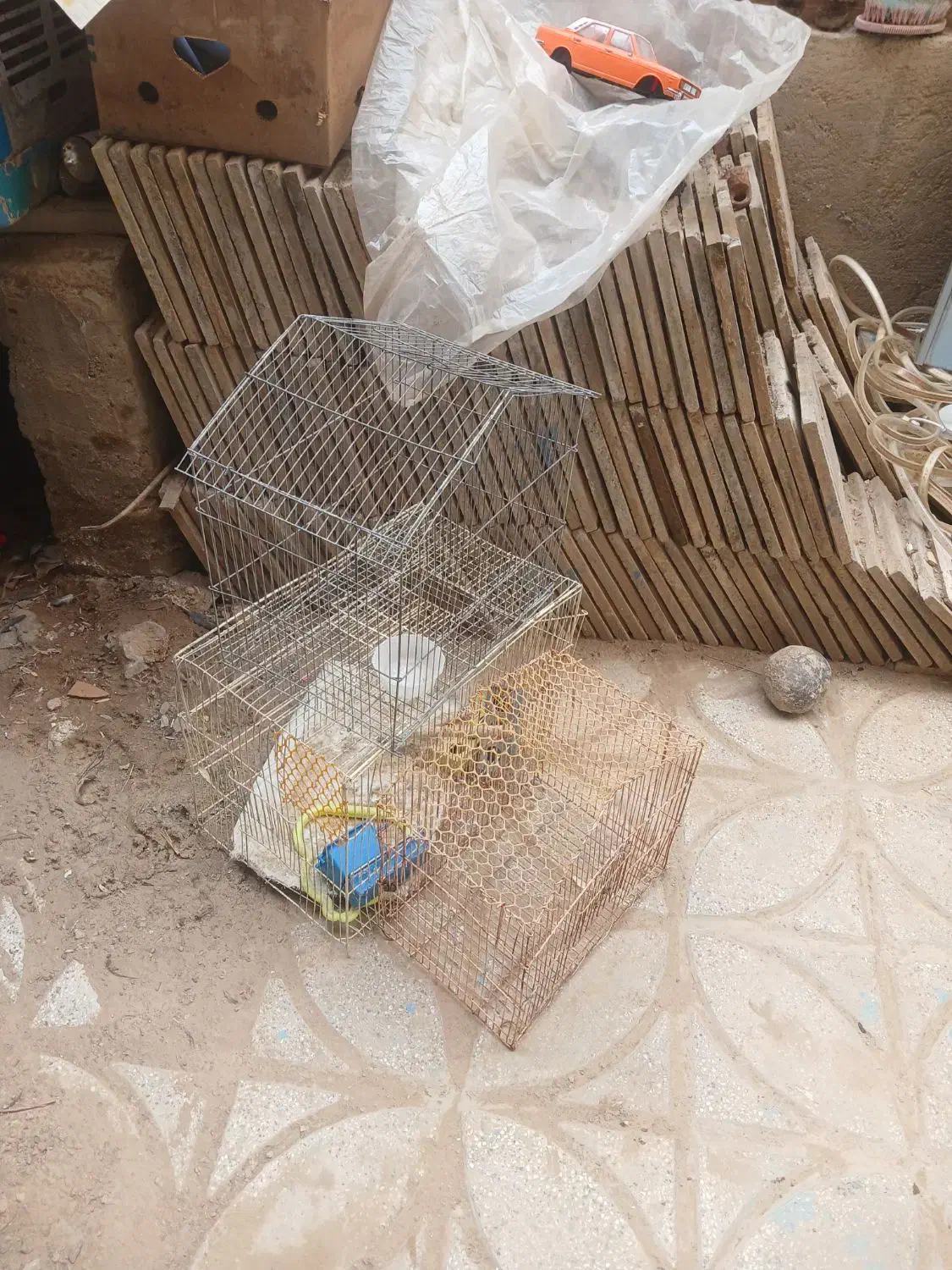 ۱۴۰۰۰۰|کلکسیون و سرگرمی|خواف, |دیوار