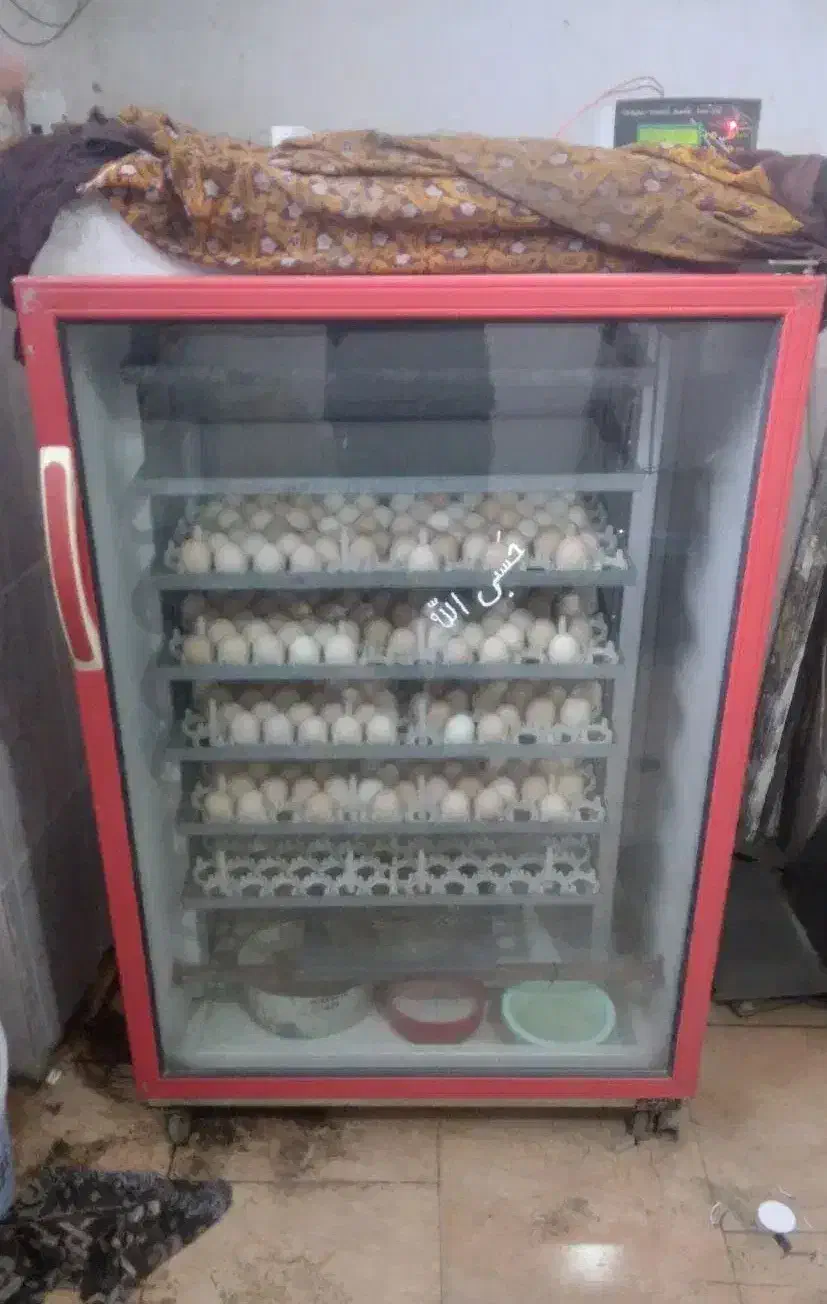 دستگاه جوجه کشی تمام اتومات|ماشین‌آلات صنعتی|اسفراین, |دیوار