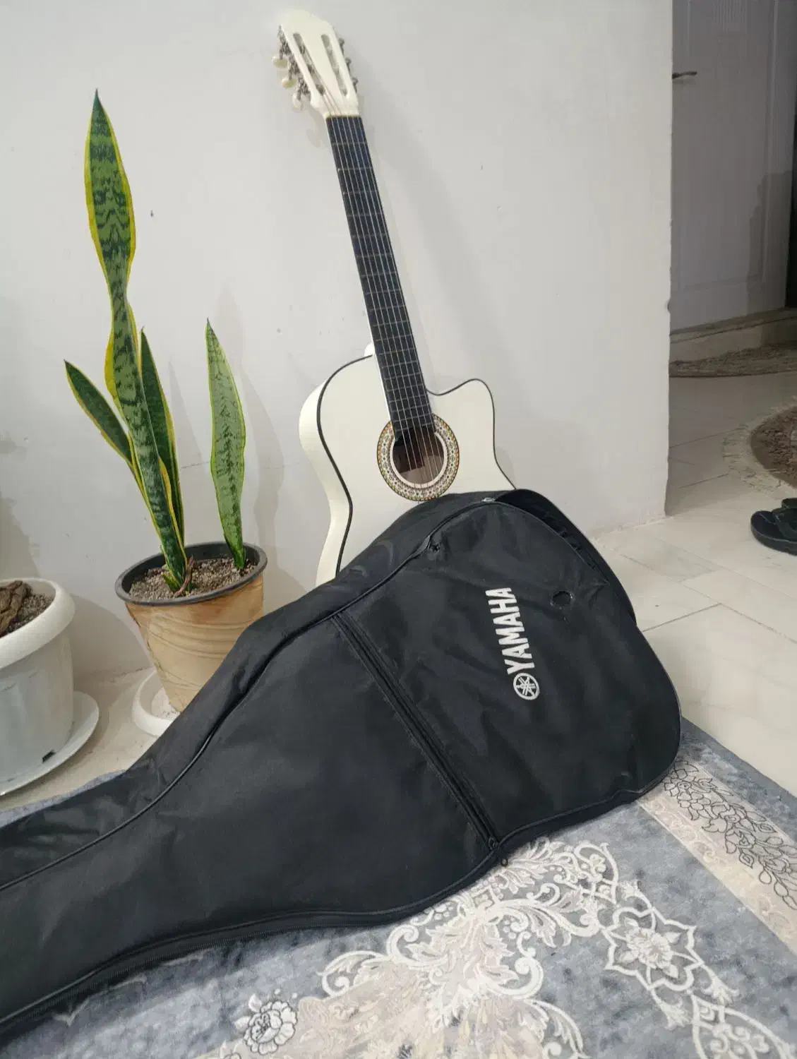 گیتار|گیتار، بیس، امپلیفایر|گلبهار, شهر جدید گلبهار|دیوار