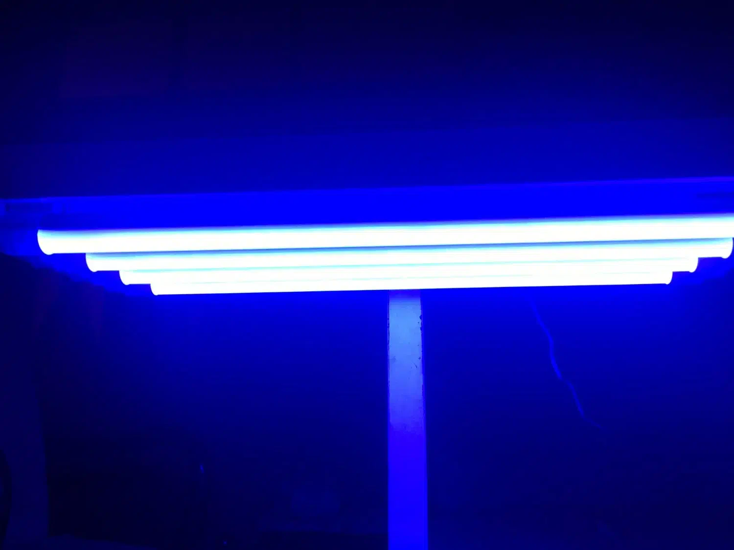 دستگاه زردی نوزاد|پزشکی|کرمان, |دیوار