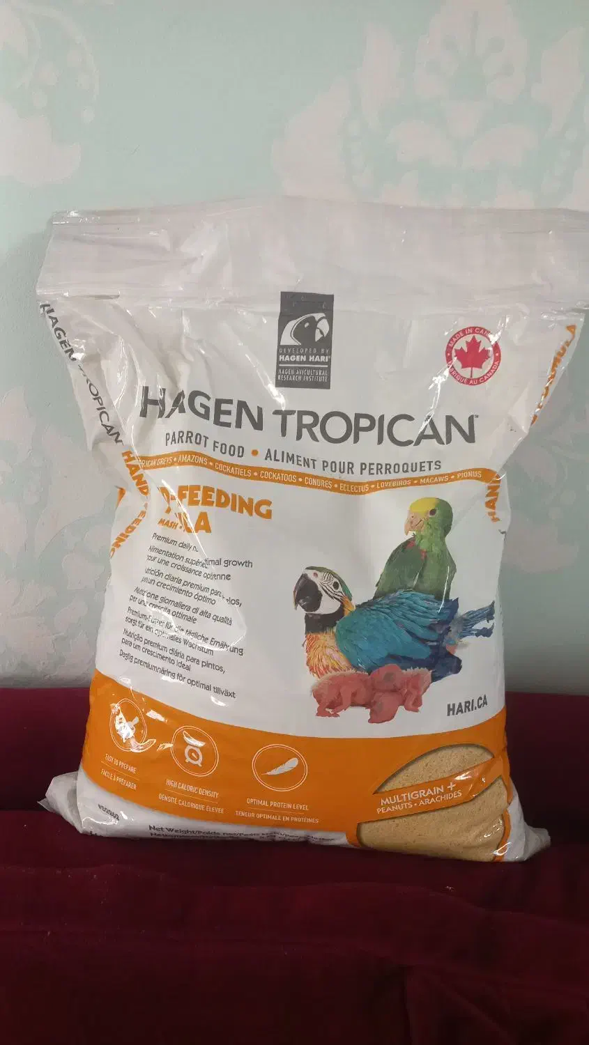 سرلاک طوطی هاگن سرلاک طوطی جوجه طوطی|لوازم جانبی حیوانات|فردیس, شهرک شهید حسینی|دیوار