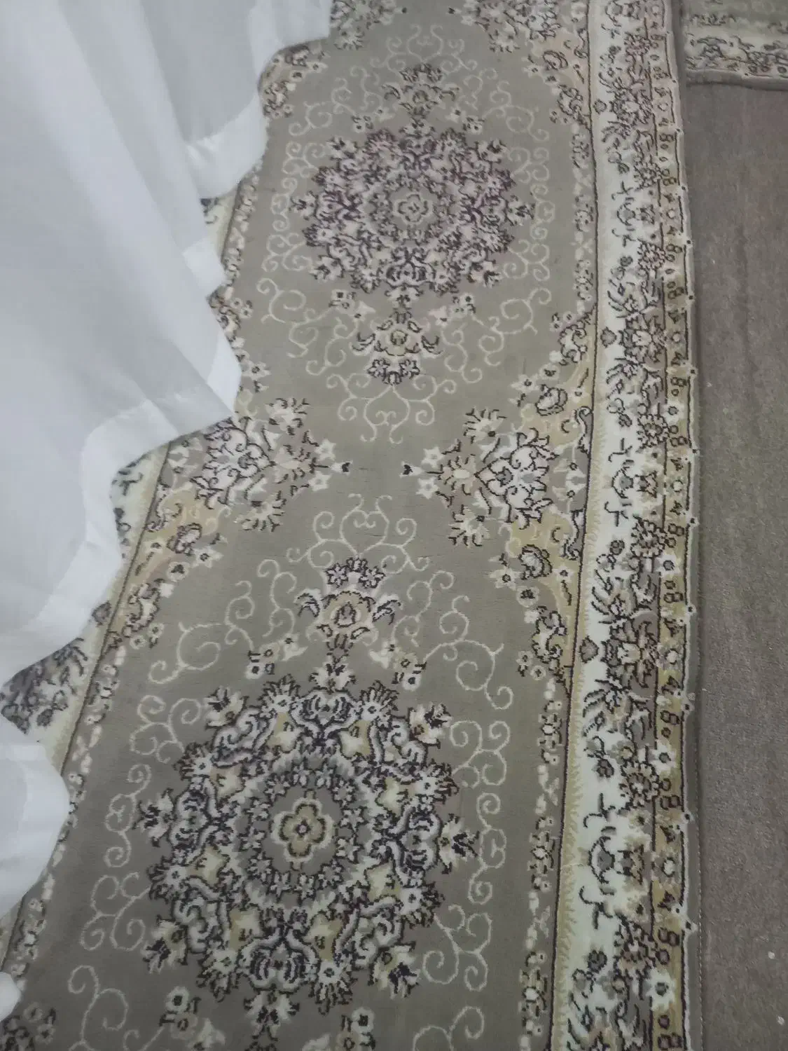 کناره فرشی و گلیم|گلیم، جاجیم، گبه|مشهد, شهرک امام هادی (شهرک غرب)|دیوار