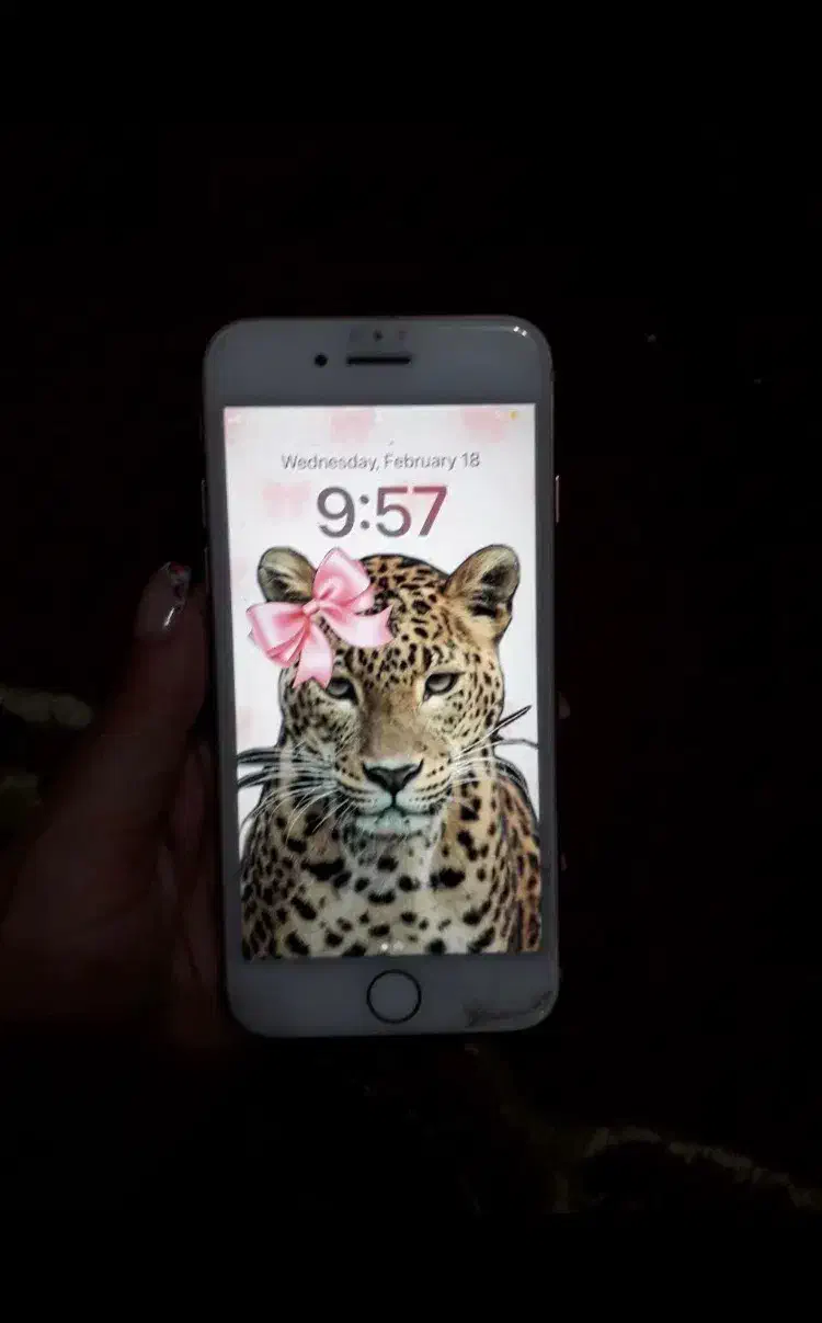 ایفون 8|موبایل|فولادشهر, مسکن مهر فولادشهر|دیوار