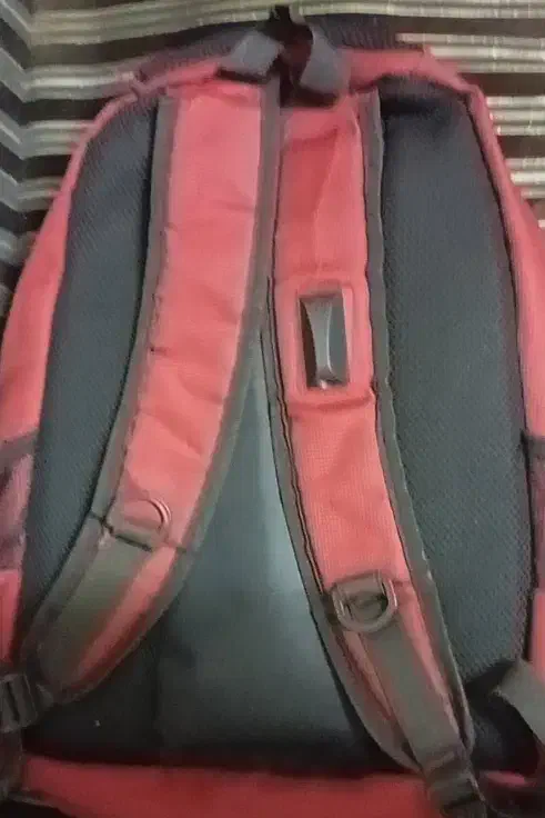 کیف|کیف، کفش، کمربند|اهواز, فاز ۱ پادادشهر|دیوار