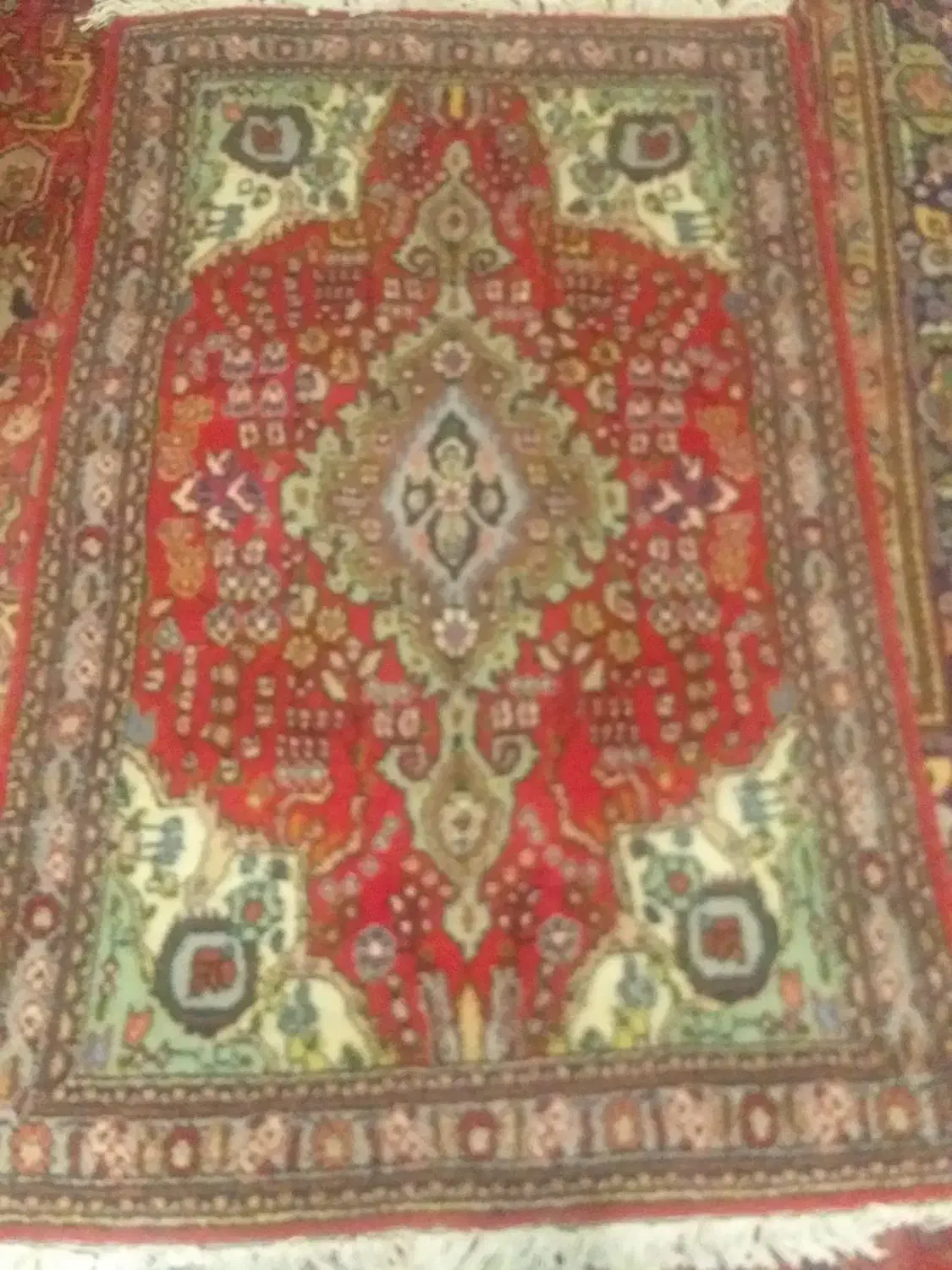 فرش دستباف ۱.۵ ×۱|فرش|بناب, |دیوار