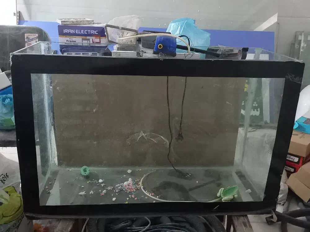 آکواریم وسایل عید نوروز|ماهی|مسجد سلیمان, |دیوار