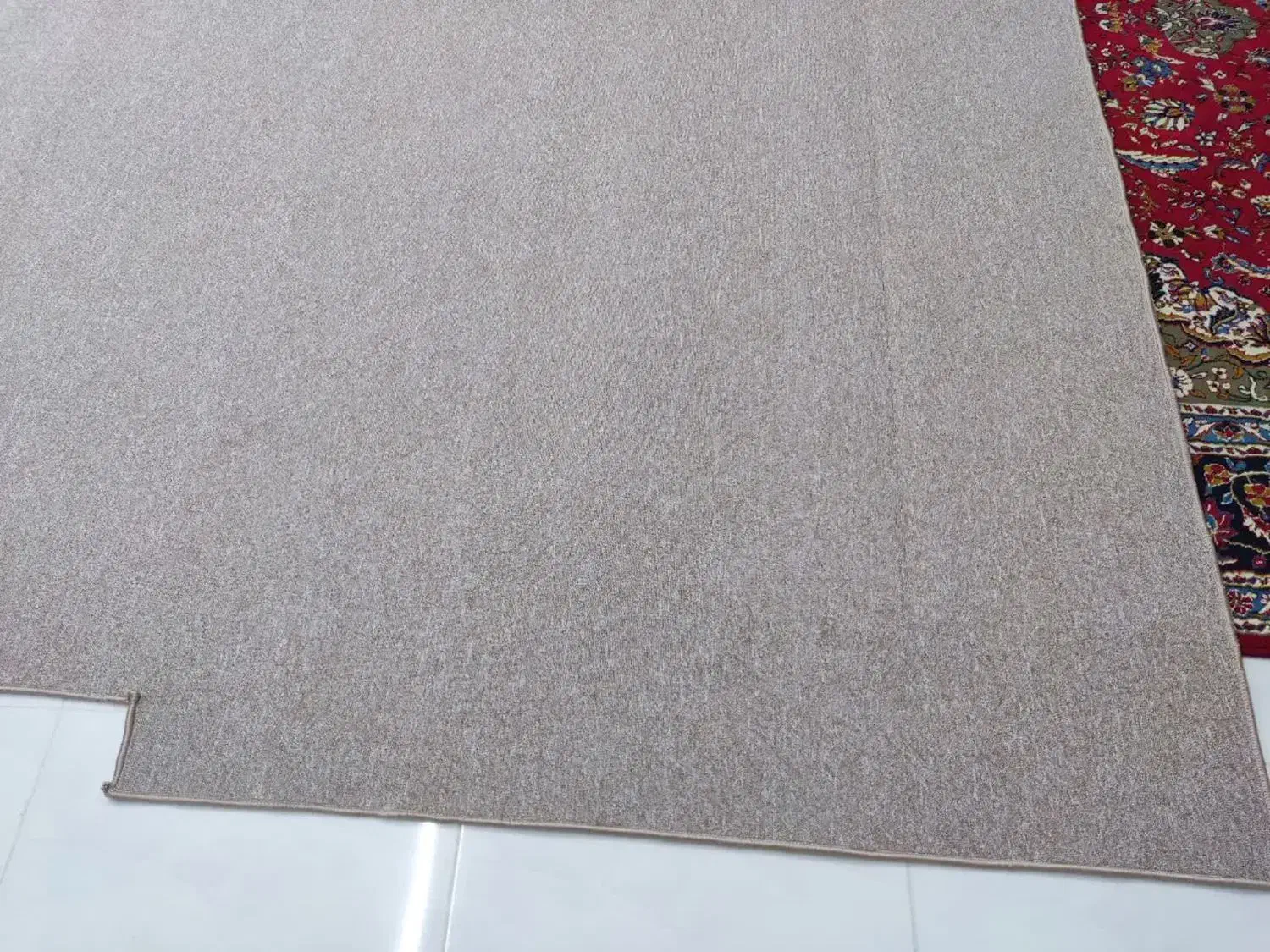 پالازموکت طرح پونه|موکت|شهرکرد, |دیوار