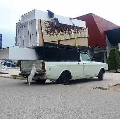 حمل بار و اساب اساسیه|خدمات حمل و نقل|شاهین‌شهر, اقبال لاهوری|دیوار