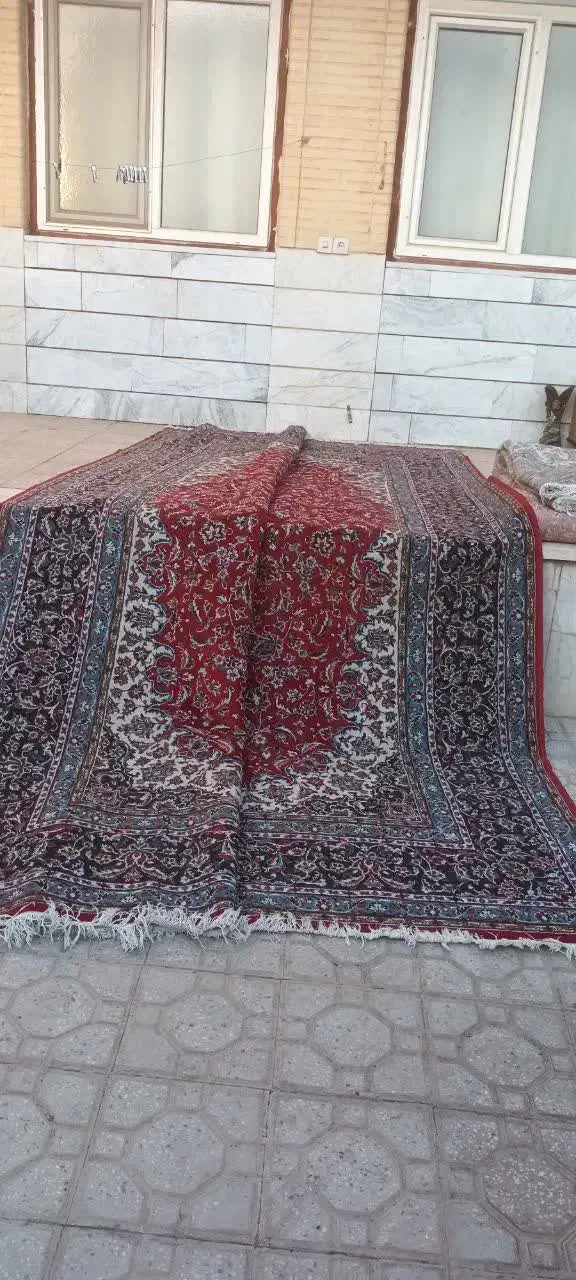 فرش۱۲ متری|فرش|یزد, |دیوار