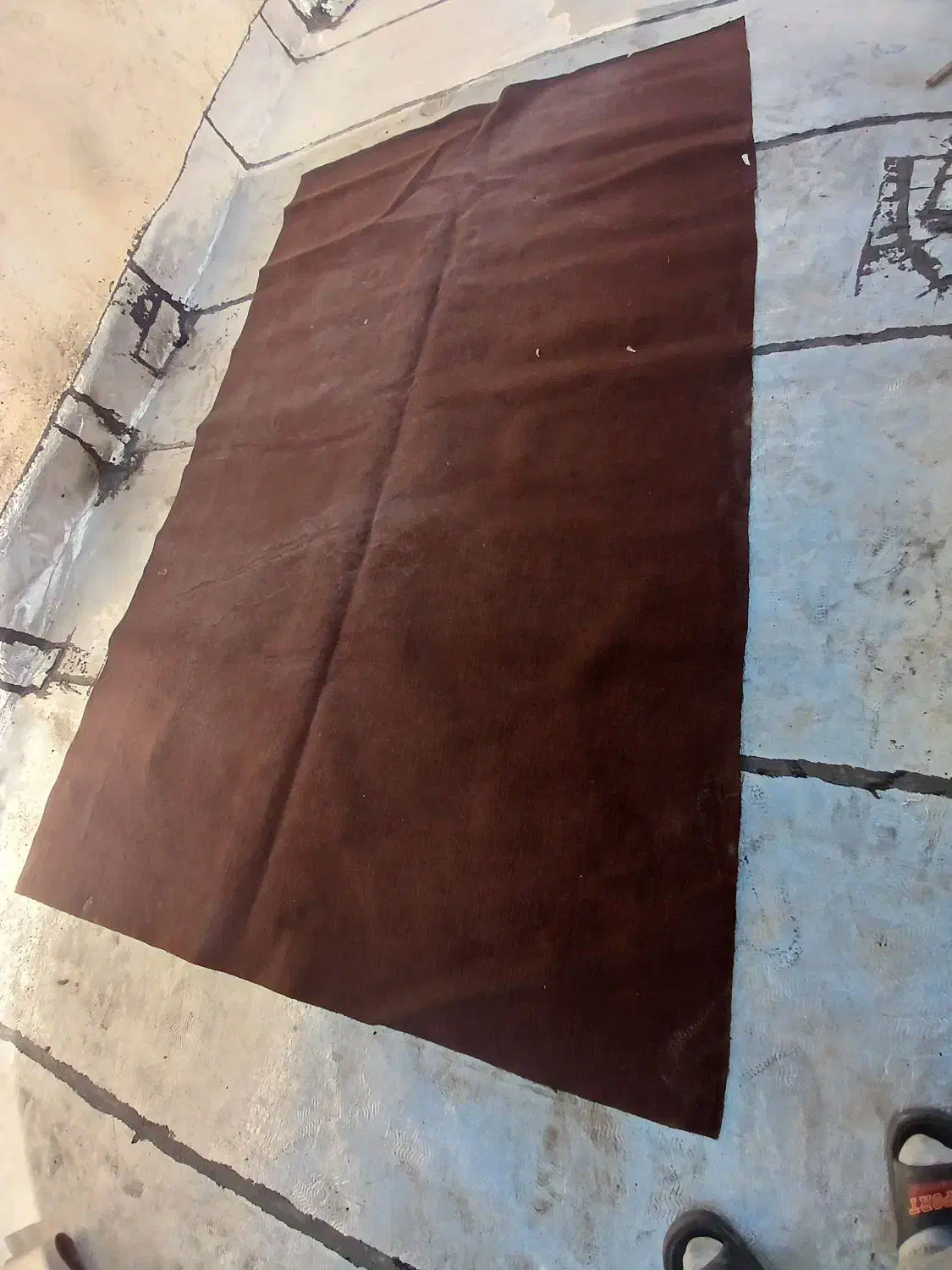 موکت|موکت|ارومیه, |دیوار