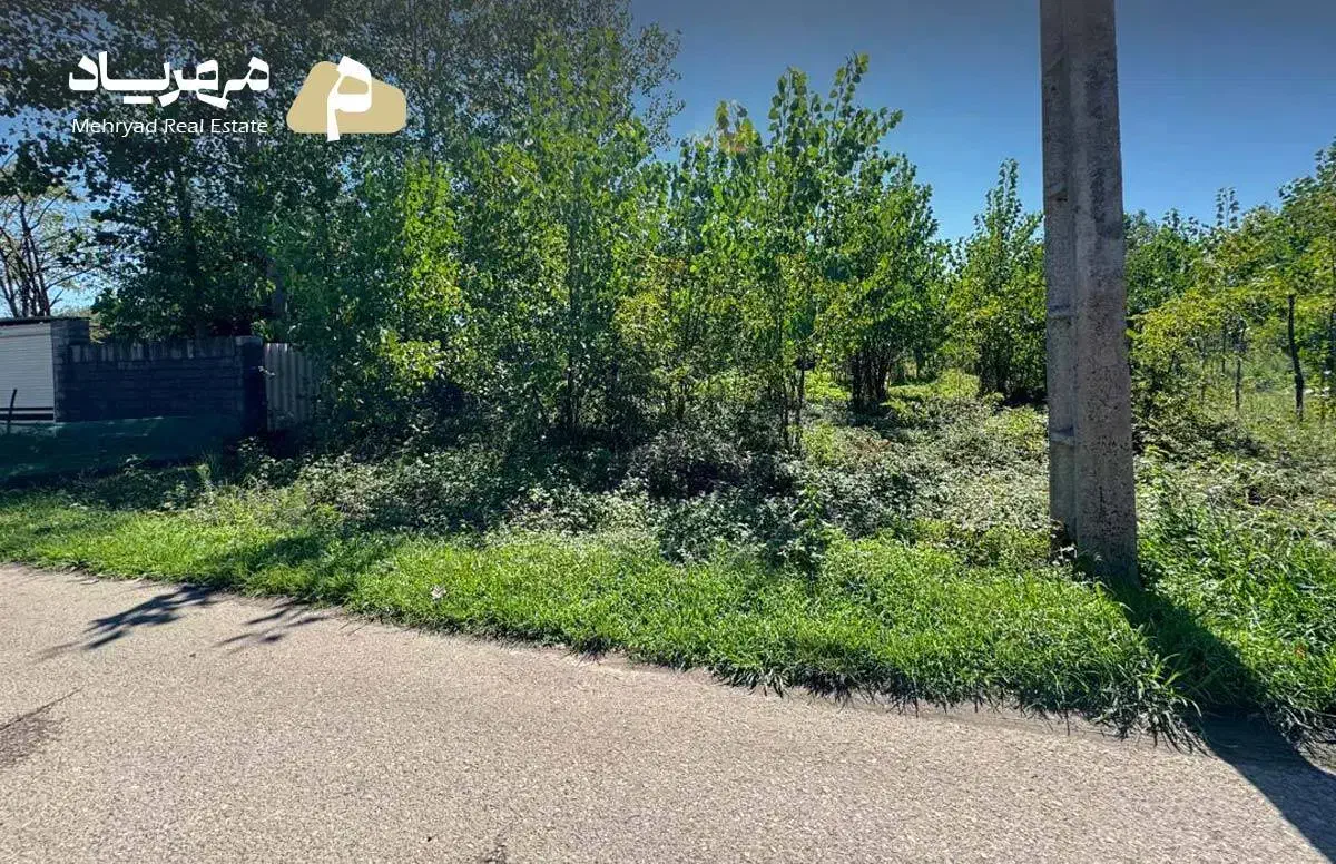 فروش زمین باغی با سند قطعی در روستای شکارسرا رشت|فروش زمین و ملک کلنگی|کوچصفهان, |دیوار