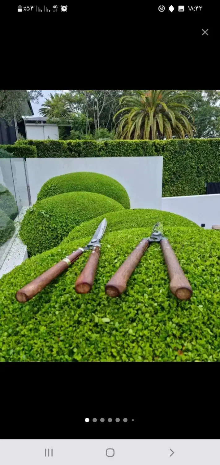 هرس. باغچه ودرخت. سم پاشی درختان وگل وگیاه|خدمات باغبانی و درختکاری|عباسآباد, |دیوار