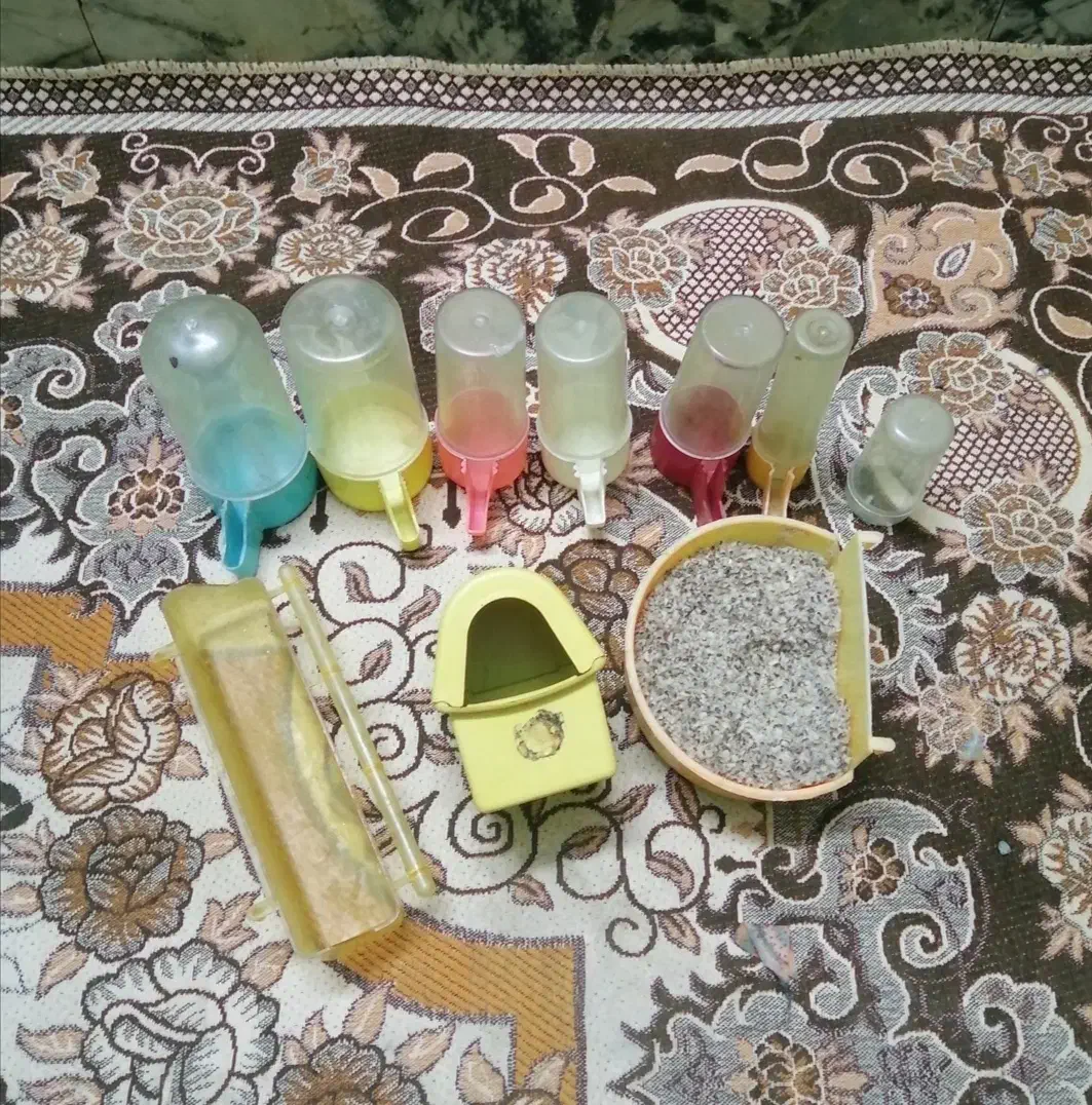 لونه و لوازم معاوضه با قفس|لوازم جانبی حیوانات|مشهد, شهید قربانی|دیوار