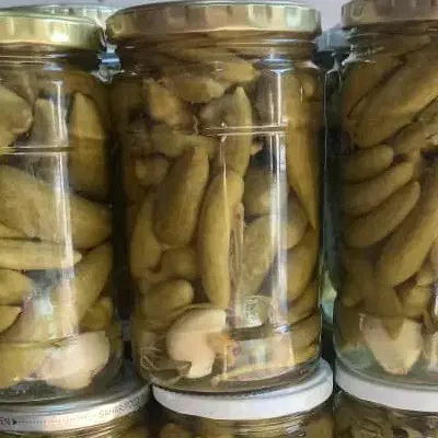 خیارشور|خوردنی و آشامیدنی|شیراز, حافظیه|دیوار