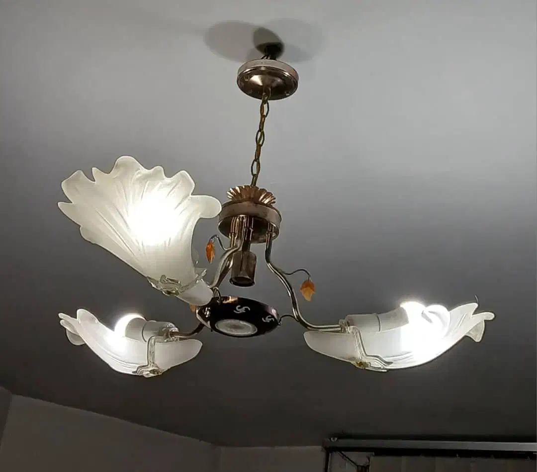 ۳عددلوستر|لوستر و چراغ آویز|شیراز, اصلاح‌نژاد|دیوار