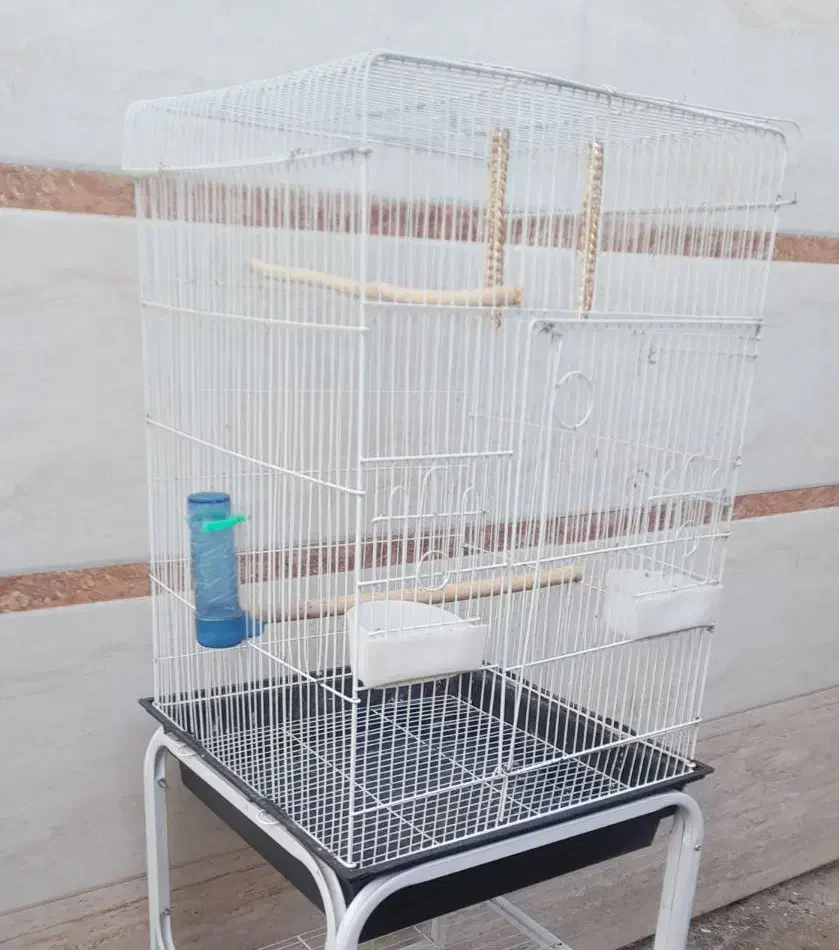 قفس بزرگ پرنده همراه پایه|لوازم جانبی حیوانات|فومن, |دیوار