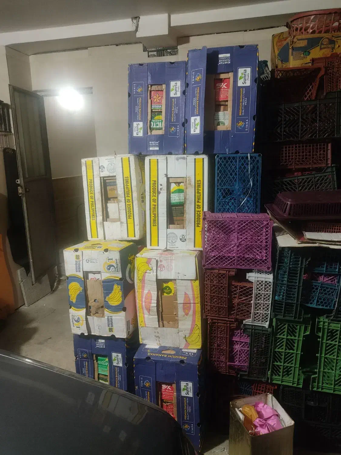 سبدمیوه. کارتن|عمدهفروشی|کرج, خرمدشت|دیوار