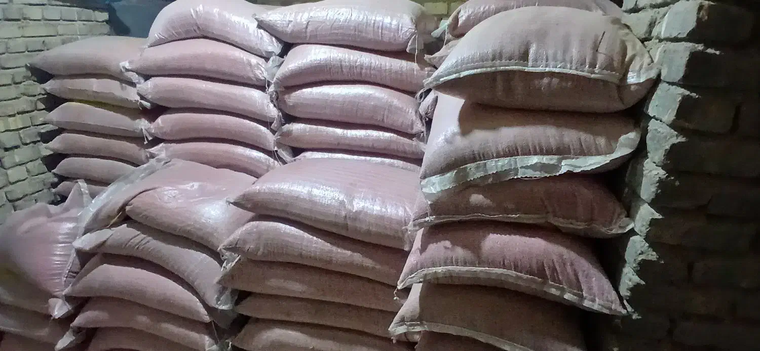 بذر گندم پیشگام پرورشی|خدمات باغبانی و درختکاری|شازند, |دیوار