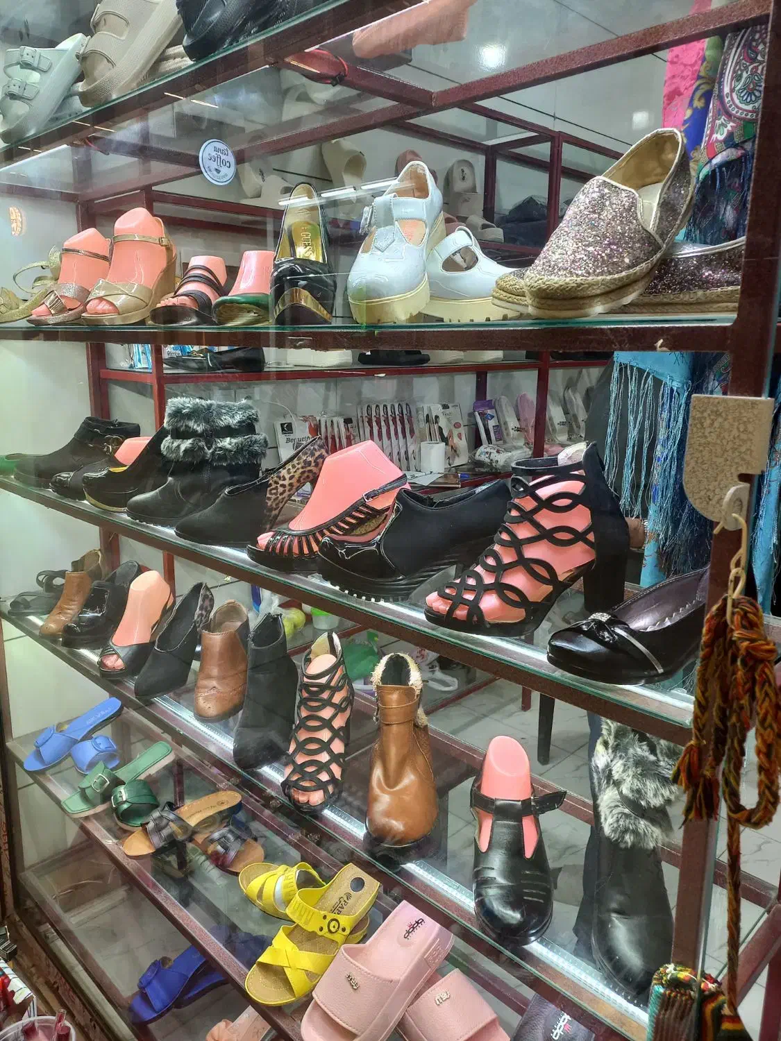 کیف و کفش تاناکورا|کیف، کفش، کمربند|مهاباد (آذربایجان غربی), |دیوار