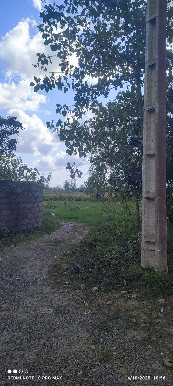 7000 متر زمین زراعی / شالیزار / مزروعی / زیبا کنار|فروش زمین و ملک کلنگی|رشت, گلسار|دیوار