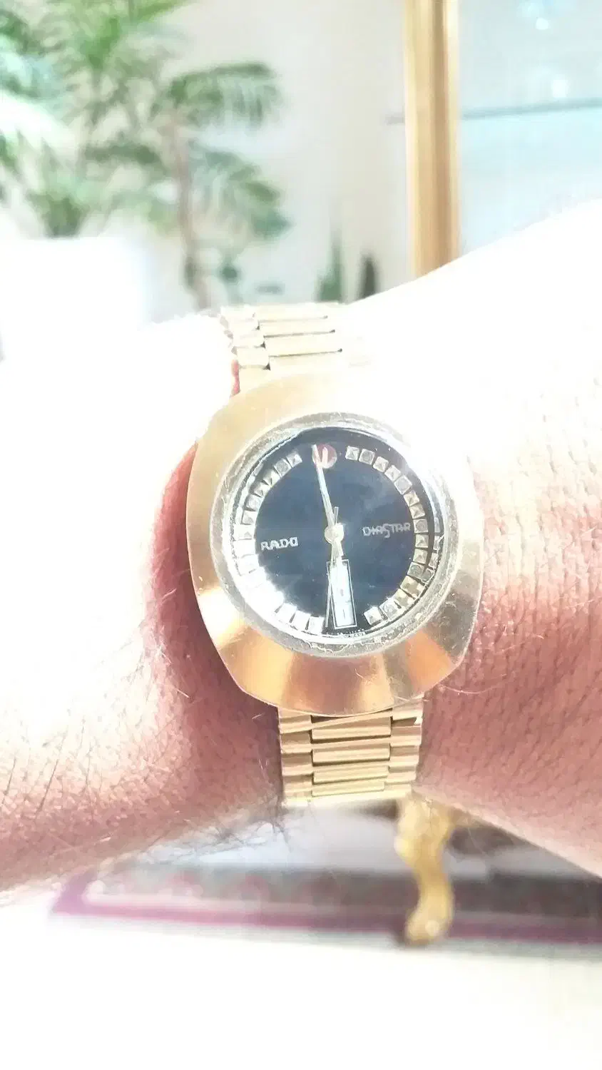 ساعت مچی رادو|ساعت|شیراز, قصرالدشت|دیوار