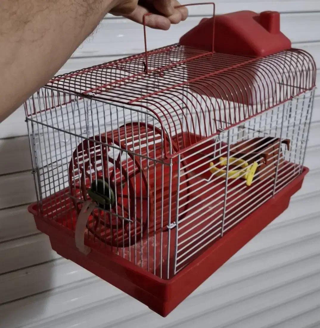 قفس پرنده و همستر|لوازم جانبی حیوانات|لاهیجان, کوی آزادگان|دیوار