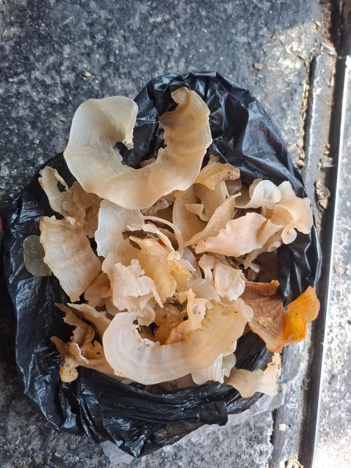 خریدو فروش انواع خشکبار سماق ،بادام،کتیرا،|خوردنی و آشامیدنی|بانه, |دیوار