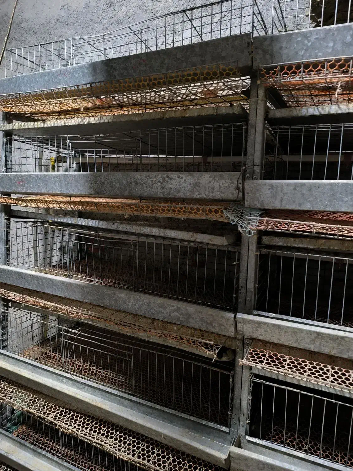 قفس بلدرچین|لوازم جانبی حیوانات|سعدآباد, |دیوار