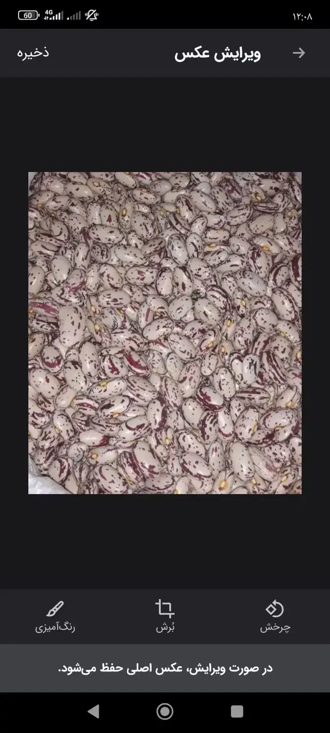 لوبیا چیتی|خوردنی و آشامیدنی|بهار, |دیوار