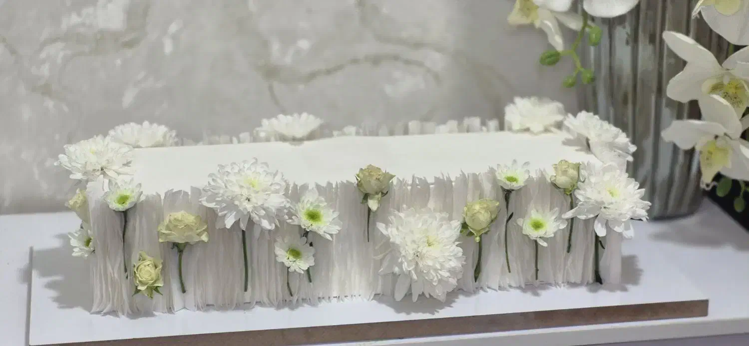 ماکت کیک زیبا|مجسمه، تندیس، ماکت|تبریز, |دیوار