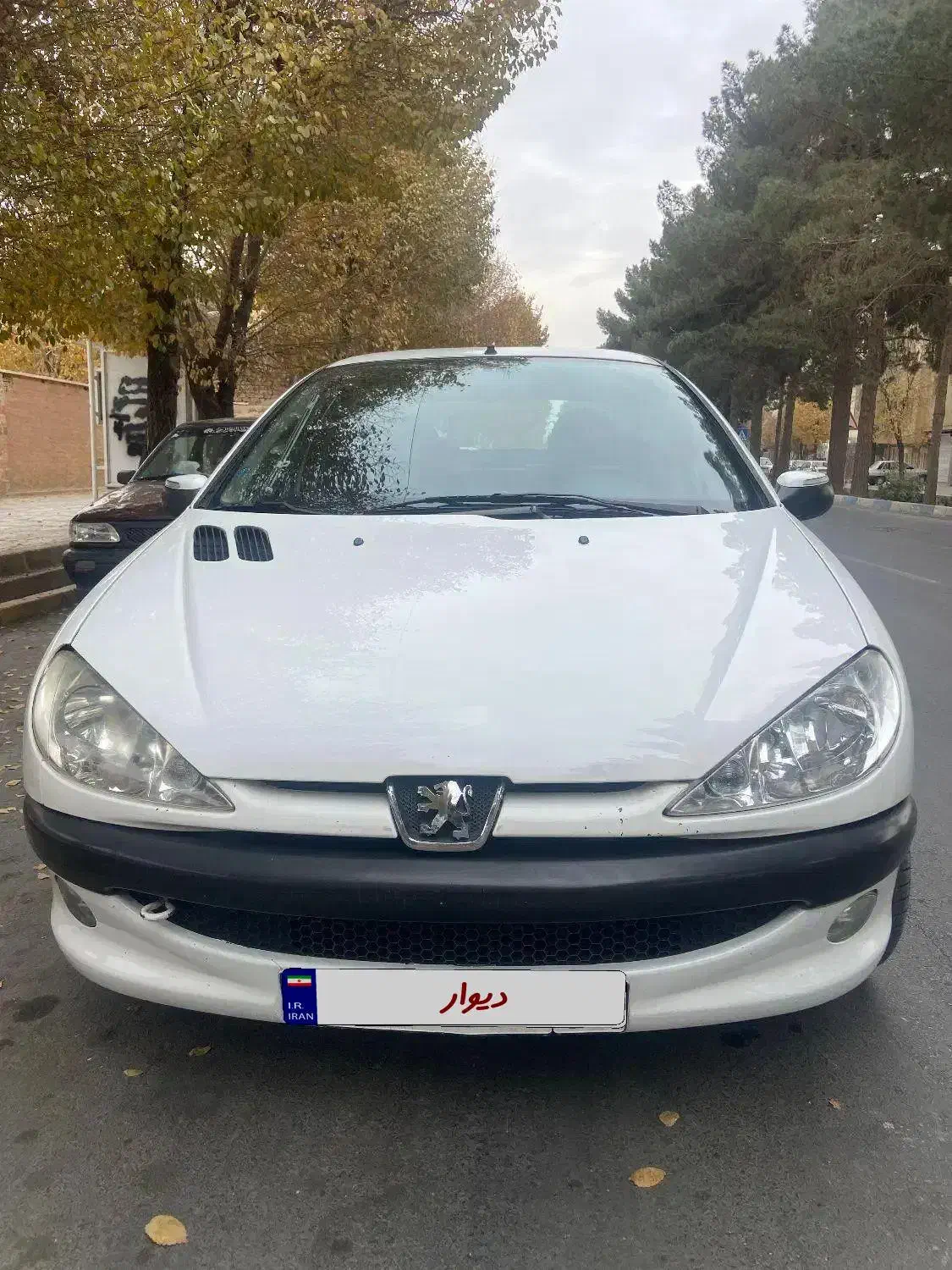 206 sd مدل 94 بدون رنگ|خودرو سواری و وانت|اصفهان, برازنده|دیوار