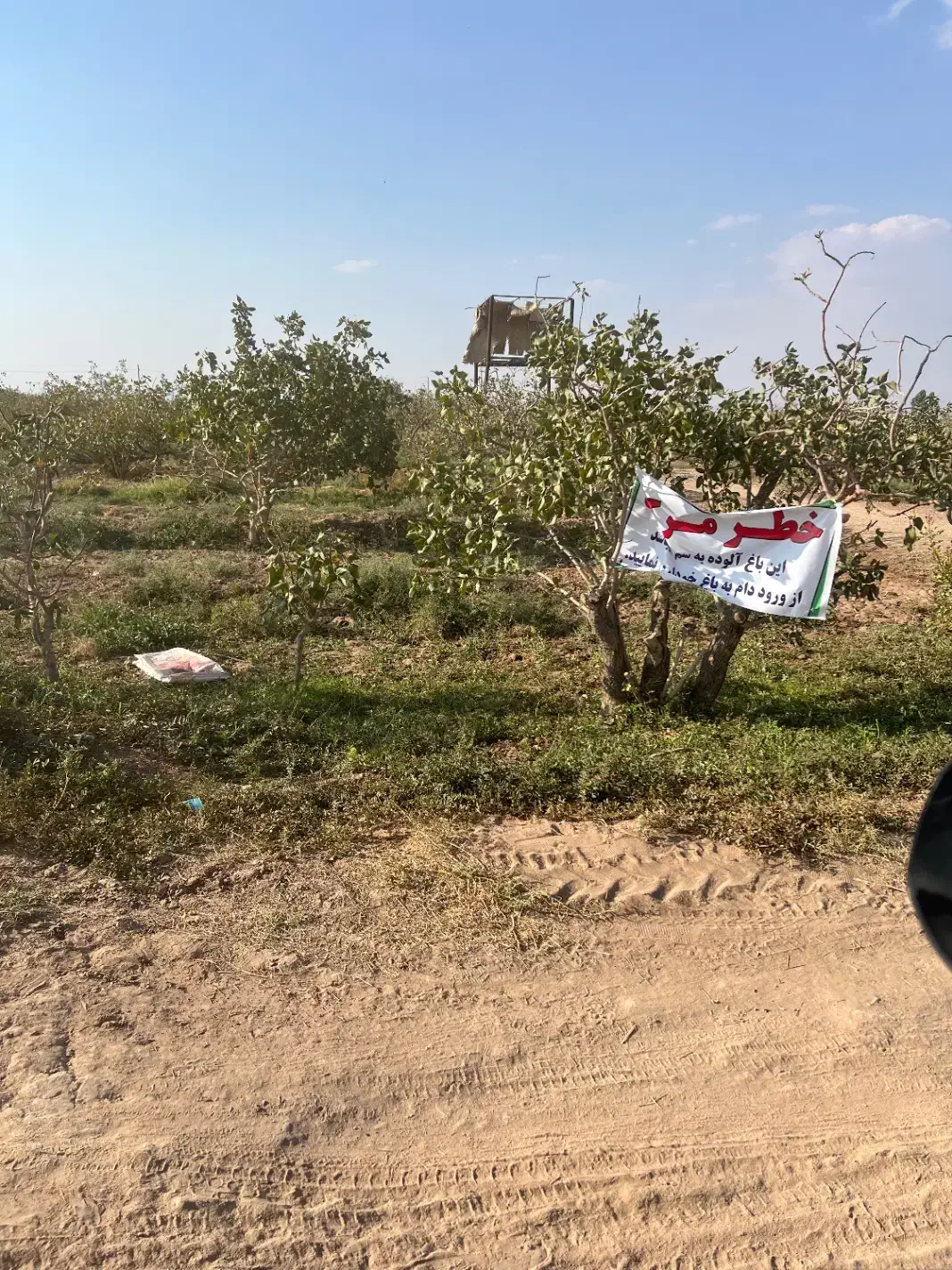 فروش ۱۲۰۰ قصب زمین مشجره پسته ممتاز واقع در زرند|فروش دفتر صنعتی، کشاورزی، تجاری|زرند, |دیوار