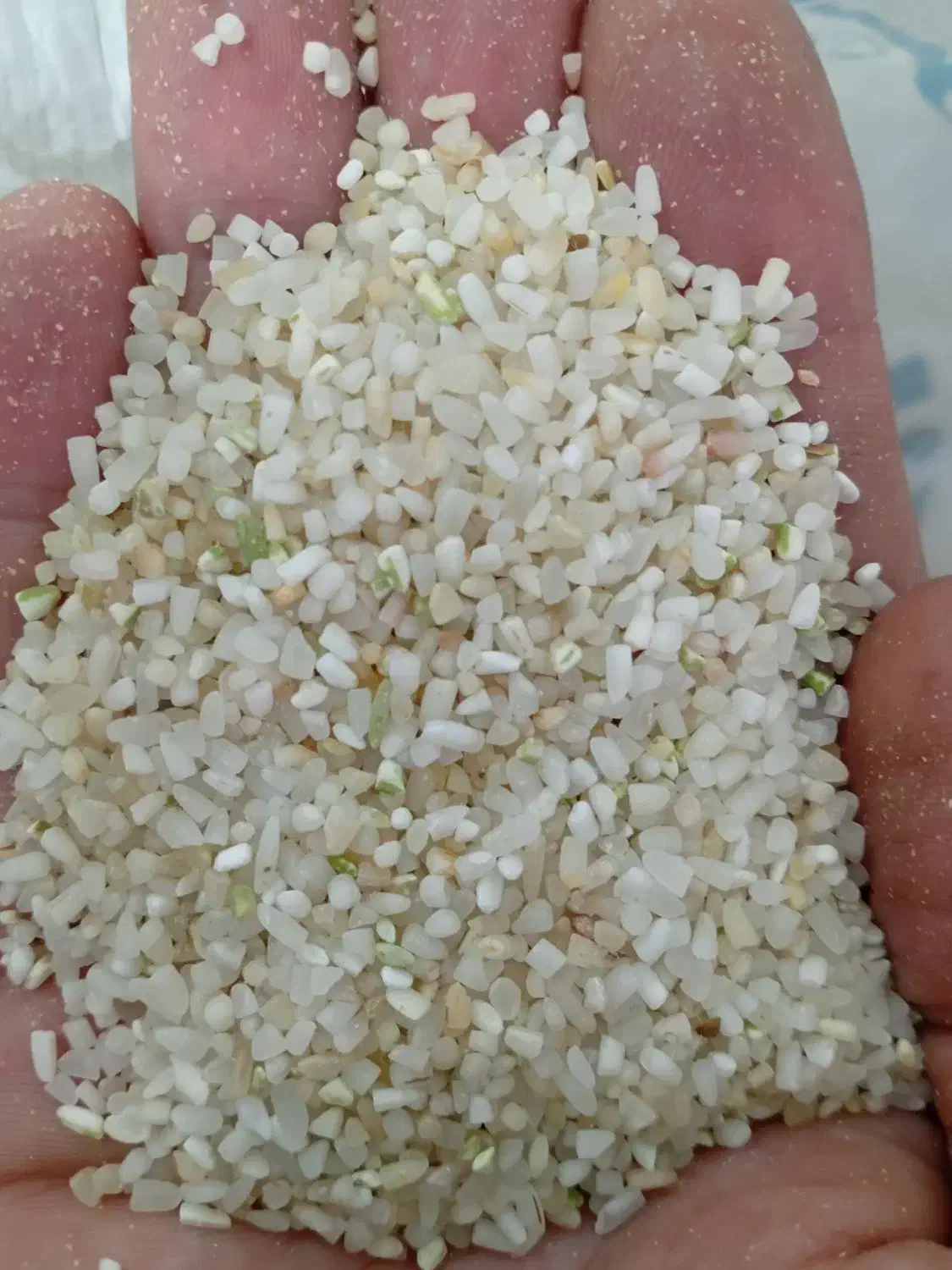 فروش عمده خرده برنج|خوردنی و آشامیدنی|اصفهان, پزوه|دیوار