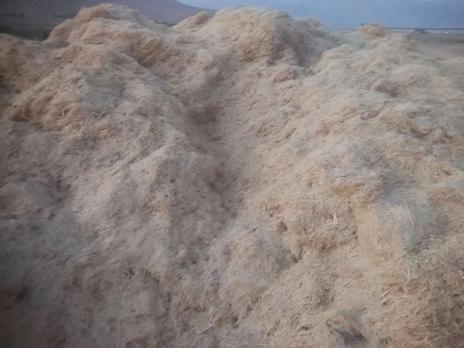 فروش ۴تن کاه گندم|حیوانات مزرعه|مرودشت, رودبال|دیوار