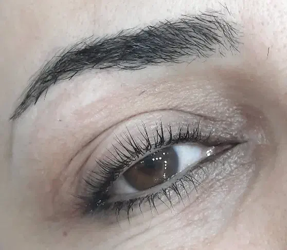 جشواره آموزش اکستنشن مژه و لیفت ابرو و مژه|خدمات آموزشی|اصفهان, برازنده|دیوار