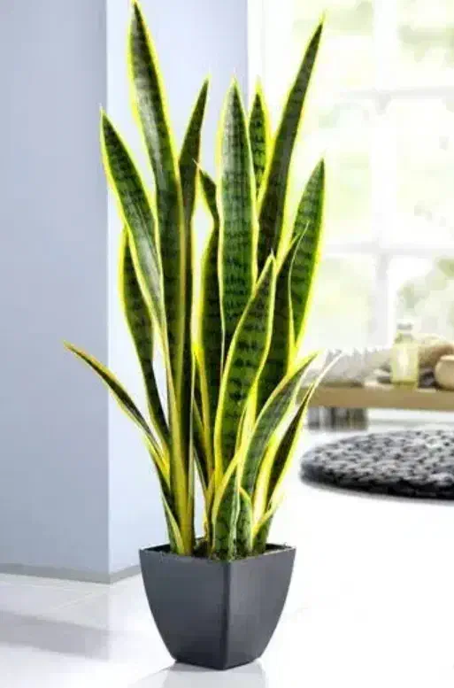 اگهی ثبت کردن|فعالیت داوطلبانه تحقیقاتی|بروجرد, |دیوار