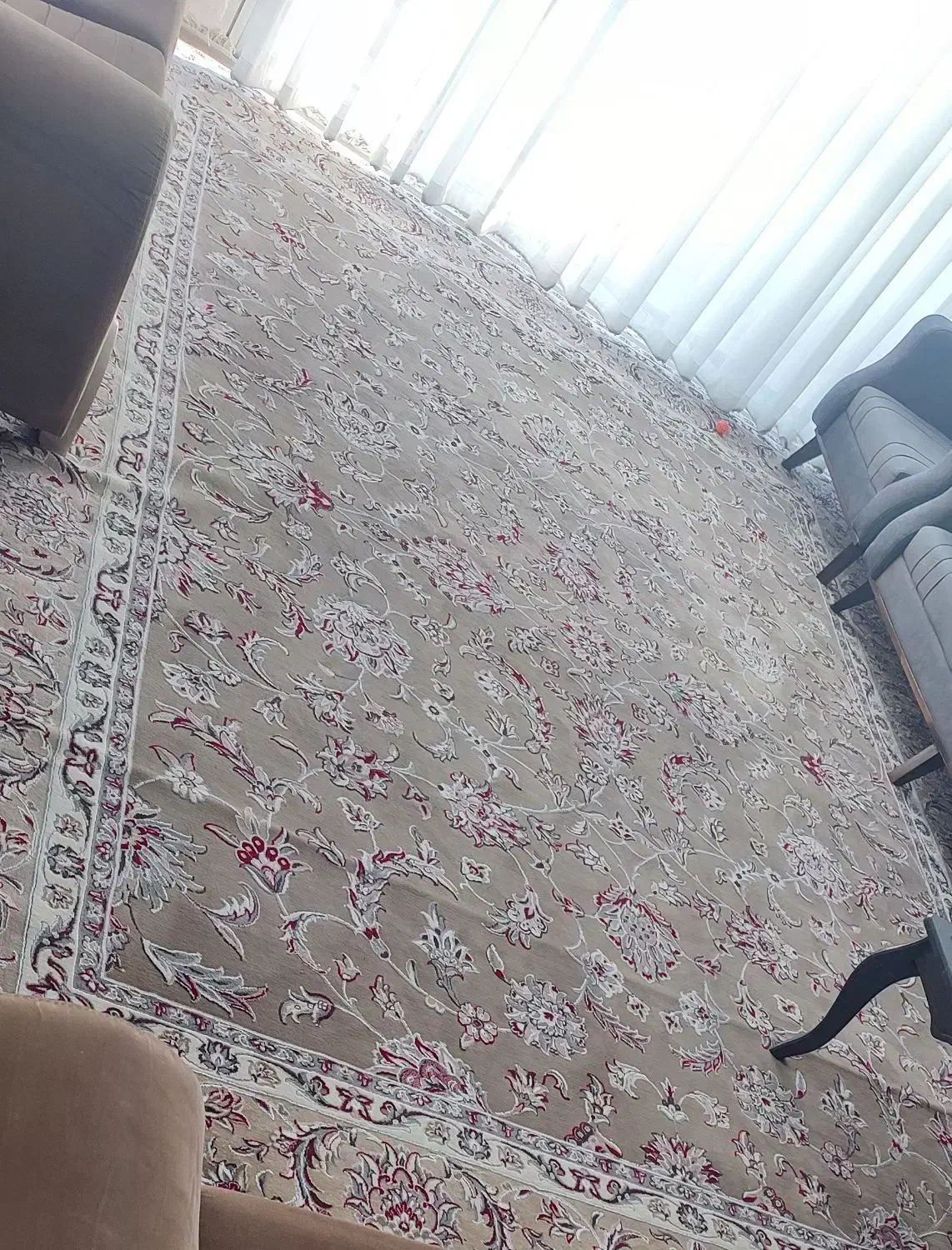 فرش 12متری|فرش|بندرعباس, |دیوار