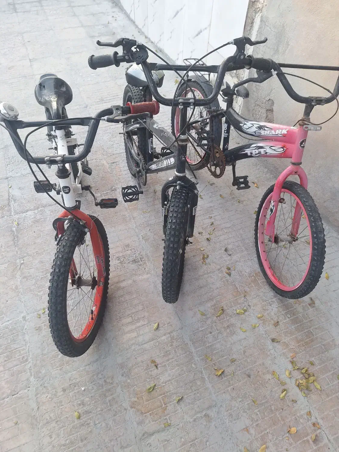 3 عدد دو چرخه 20|دوچرخه، اسکیت، اسکوتر|چوار, |دیوار