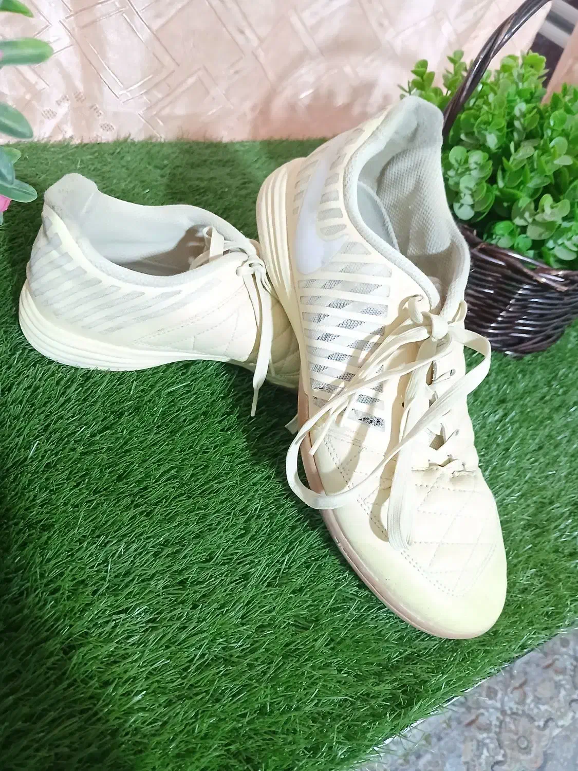 کفش سالنی لونارگتو|کیف، کفش، کمربند|سراوان, |دیوار