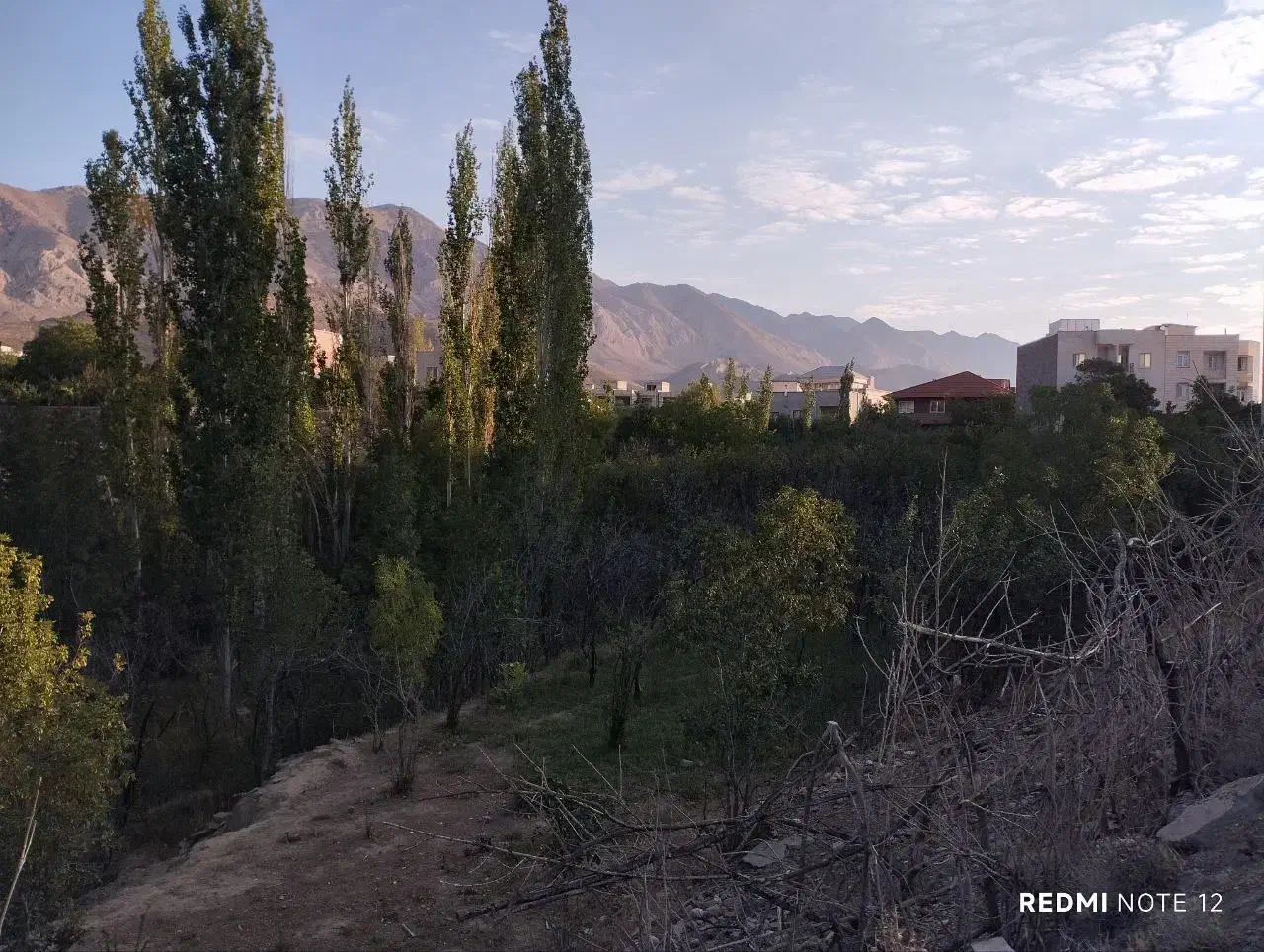 فرصت طلایی خرید باغ خوشمنظره در شهمیرزاد|فروش زمین و ملک کلنگی|شهمیرزاد, |دیوار