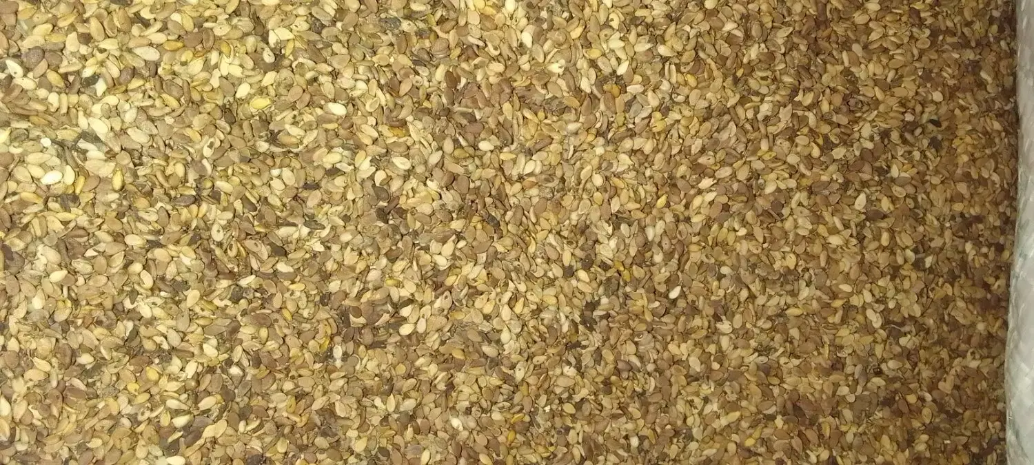 کنجد|خوردنی و آشامیدنی|باوی, |دیوار
