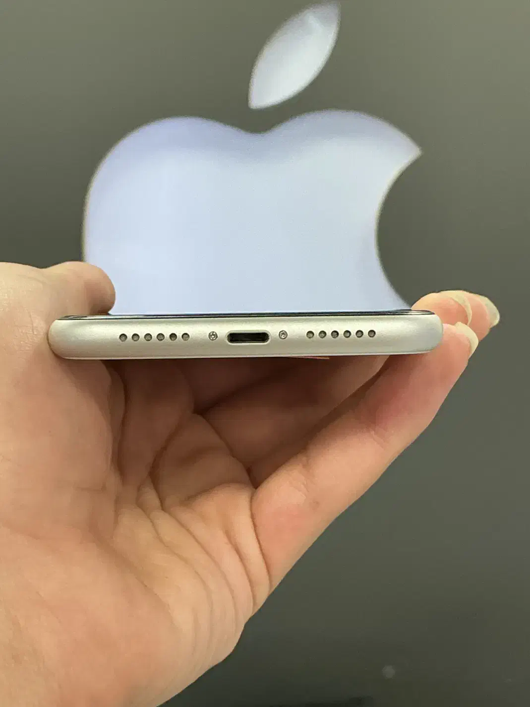 iPhone 11 64g|موبایل|تبریز, |دیوار