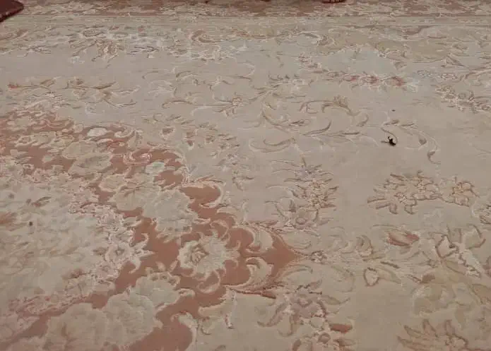 فرش کرم رنگ|فرش|الیگودرز, |دیوار