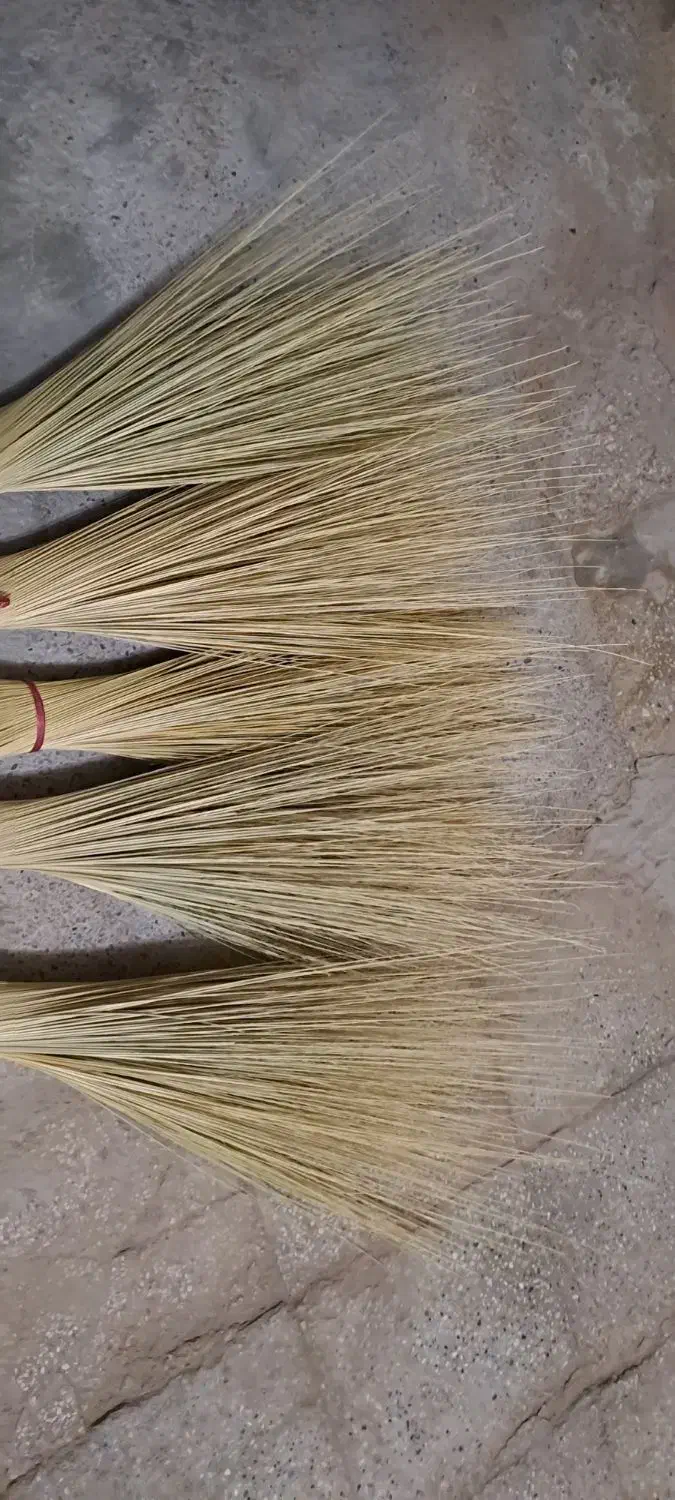 جارو|جاروبرقی، جارو شارژی، بخارشو|هامون, |دیوار