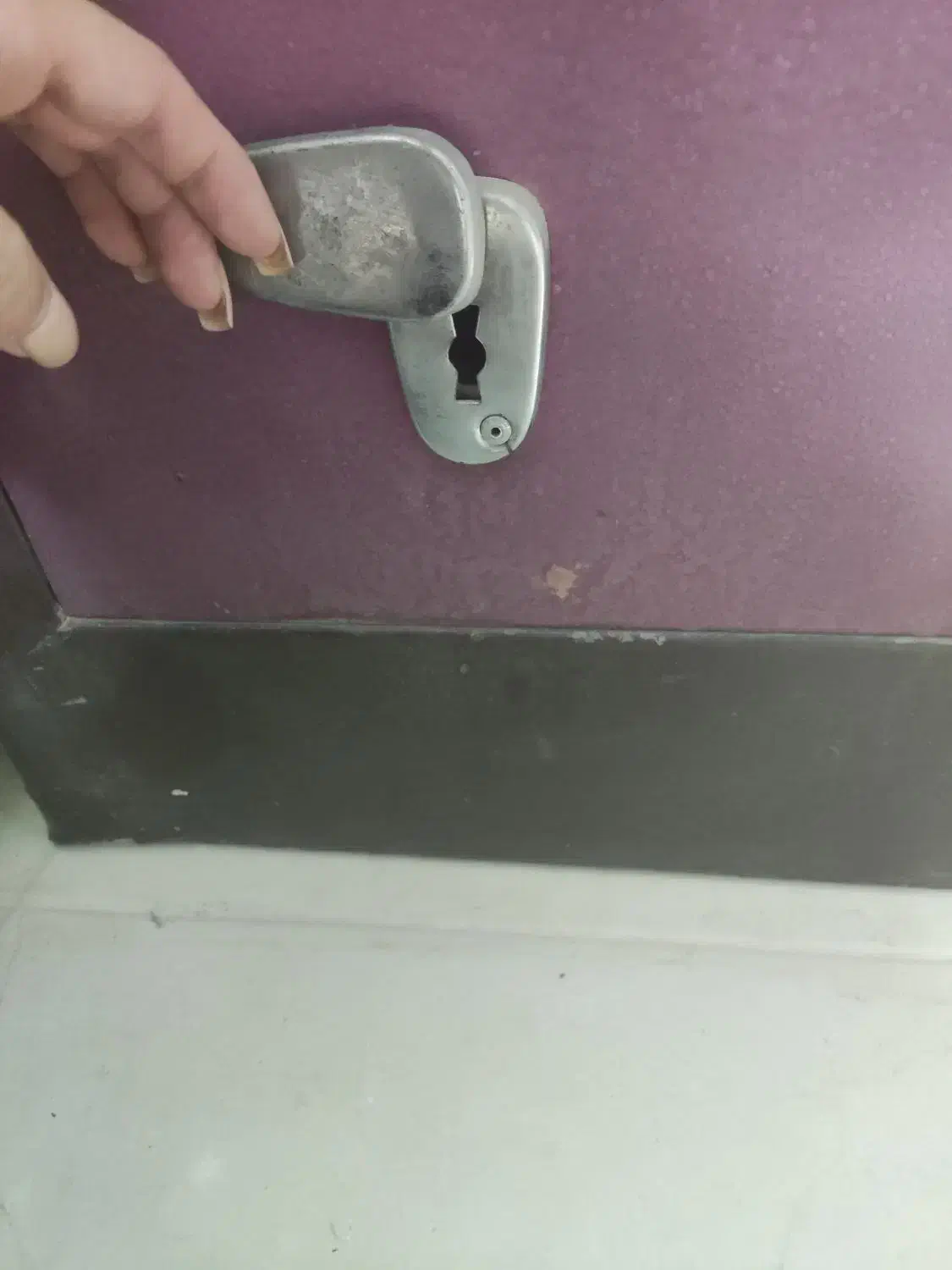 گاو صندوق در حدنو|کلکسیون و سرگرمی|جهرم, |دیوار