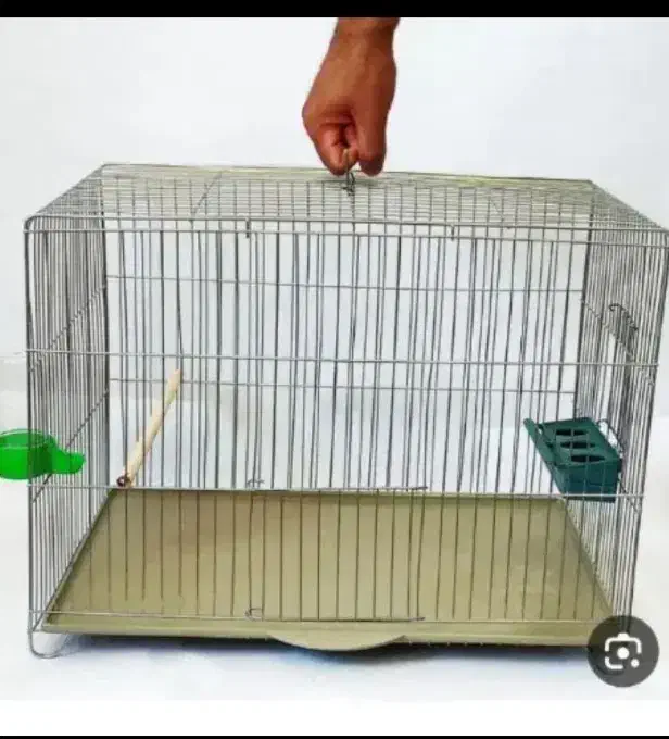 قفس فروشی|لوازم جانبی حیوانات|فسا, |دیوار